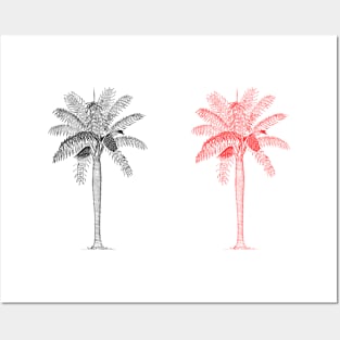 red black palm trees design Posters and Art